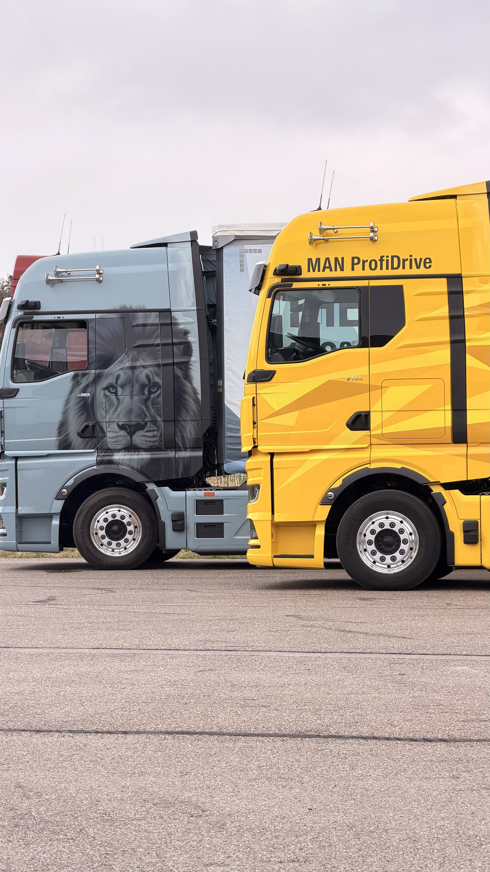 Dos MAN TGX, uno con vinilo de león y otro de la academia ProfiDrive